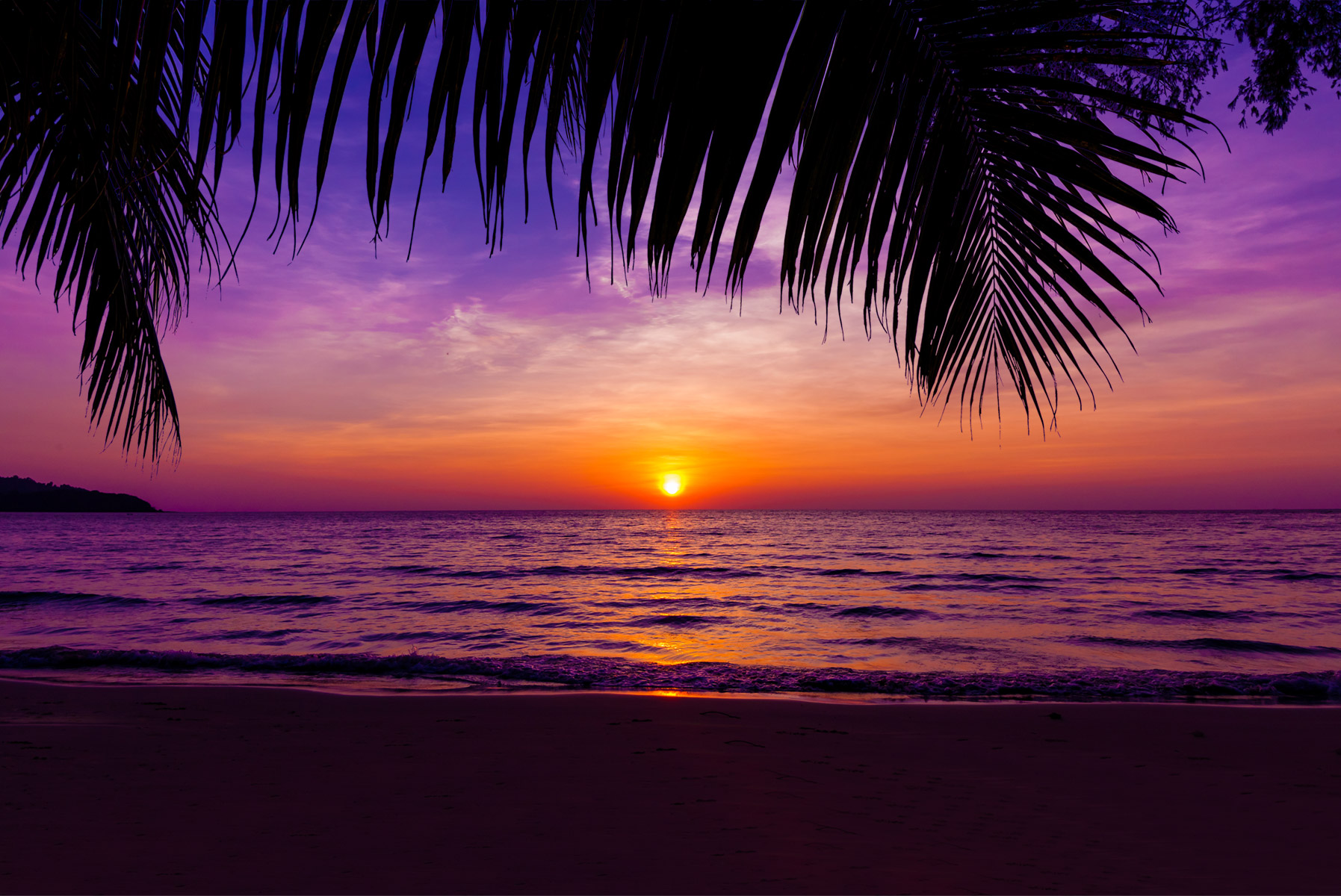 Home Crafty Elk Organic Hard Juice, Vodka Beverages.